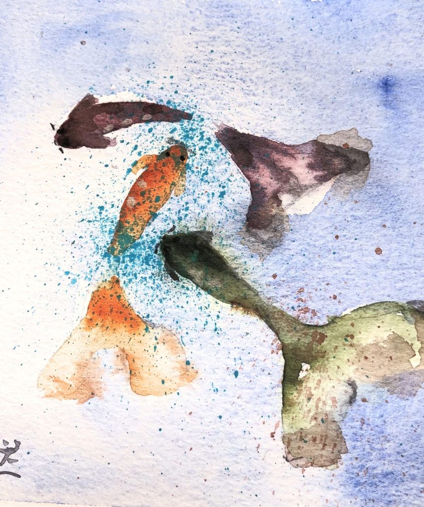 Koi VI